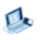 A Comprehensive Guide to 15Five Performance Review Introduction