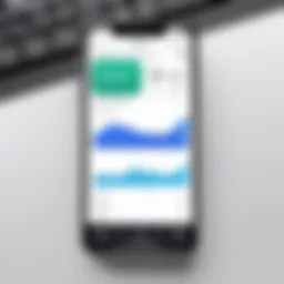 Visual representation of a mileage tracking app interface on iPhone