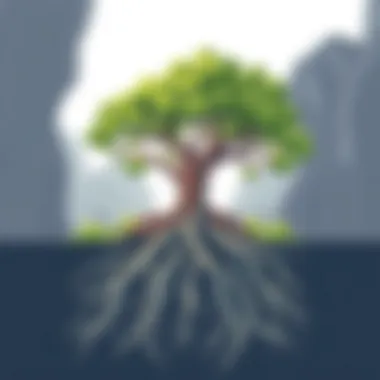 A tree with deep roots and lush foliage representing the foundation of a successful organization