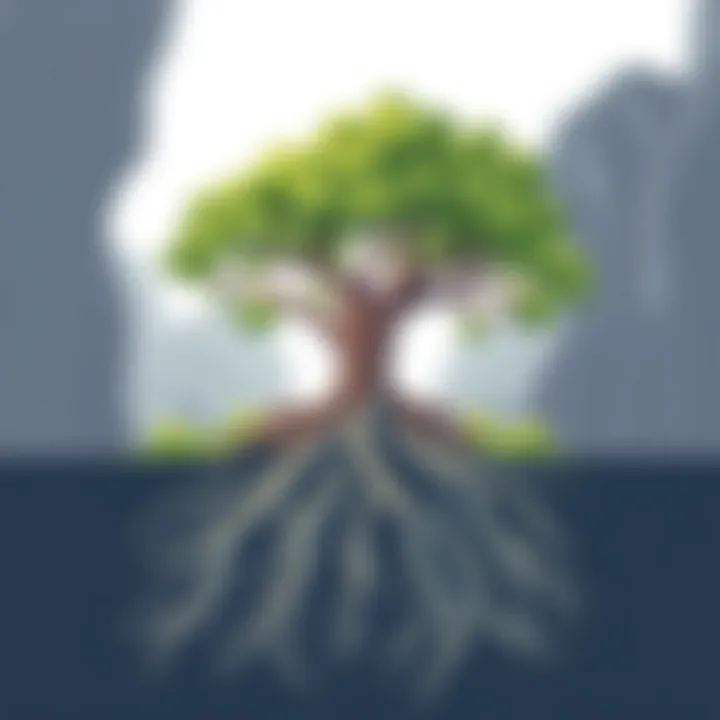 A tree with deep roots and lush foliage representing the foundation of a successful organization