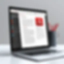 Overview of Adobe Acrobat Reader interface with editing tools highlighted