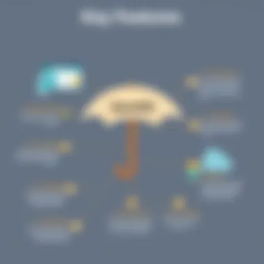 Key Features of OpenDNS Umbrella Infographic highlighting the features of OpenDNS Umbrella