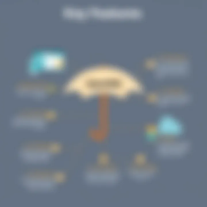 Key Features of OpenDNS Umbrella Infographic highlighting the features of OpenDNS Umbrella