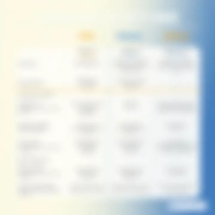 Comparison of Webinar Platform Features Comparison chart highlighting features of various webinar platforms