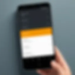 User interface of an autofill app on Android