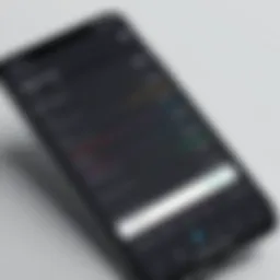 Screenshot of a trip expense tracker app interface