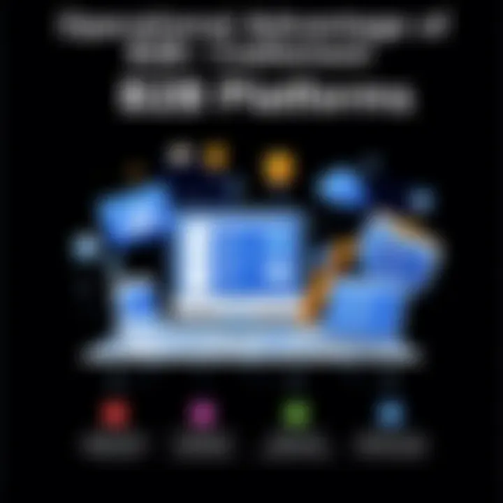 Operational Advantages of B2B Platforms Infographic illustrating operational advantages of B2B platforms