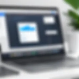 User interface of PDFelement Pro for Mac showcasing tools and options