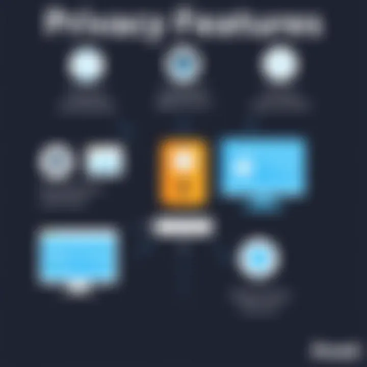 Privacy Features of Avast Online Security Diagram showing privacy features of Avast Online Security