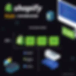 Overview of Shopify Plus subscription model