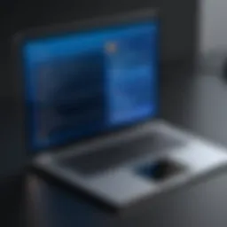 An overview of softphone interface on a Windows device