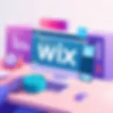 Understanding the Cost of Wix Websites Introduction