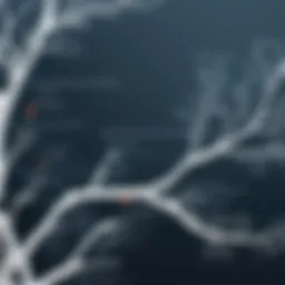 Visual representation of logic branching in Typeform