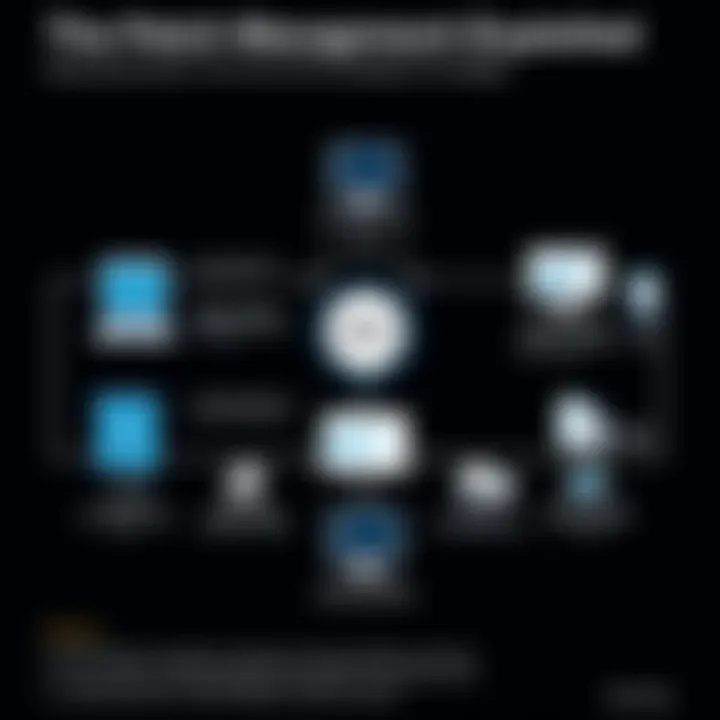 The Patch Management Lifecycle Explained Flowchart illustrating the patch management lifecycle