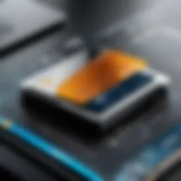 Overview of Xola credit card processing features